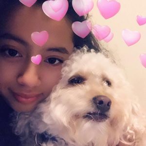 Meet your Posher, Priscilla